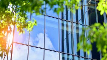 reflexión de moderno comercial edificio en vaso con luz de sol. eco arquitectura. verde árbol y vaso oficina edificio. el armonía de naturaleza y modernidad. foto
