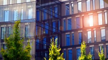 Fresh green trees and office building, business concept. Eco building in modern city concept. photo
