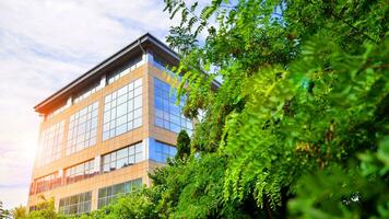 Eco building in modern city concept. Fresh green trees and office building, business concept. photo