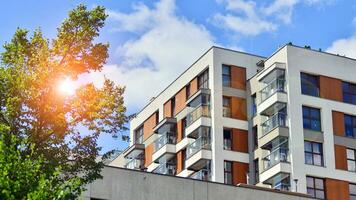 Eco architecture. Green tree and apartment building. The harmony of nature and modernity. photo