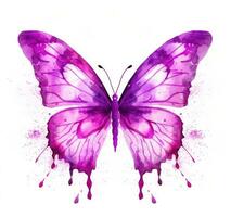 Watercolor butterfly isolated photo