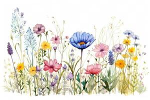 Watercolor floral border photo