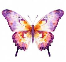 Watercolor butterfly isolated photo