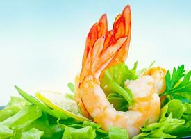 Tasty shrimp salad photo