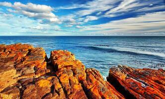 Cape of Good Hope photo