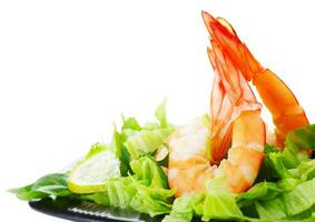 Tasty Shrimp salad photo