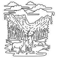 Elk or Wapiti in Rocky Mountain National Park Northern Colorado Mono Line Art vector