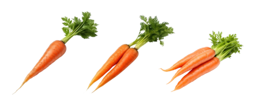 Ripe orange carrot isolated png