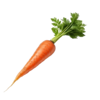 Ripe orange carrot isolated png