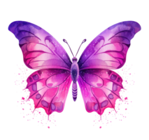 Watercolor butterfly isolated. png