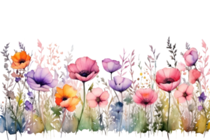 Watercolor floral border png