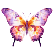 aquarelle papillon isolé png