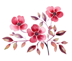 Pink watercolor flowers isolated png