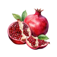 Ripe pomegranate isolated png