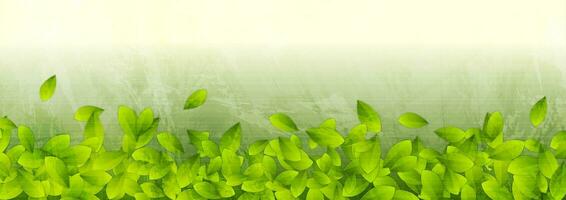 Grunge summer eco banner with green leaves vector