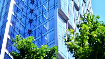 Eco architecture. Details of facade glass and aluminum panels on  building. Green tree and modern office building. The harmony of nature and modernity. photo