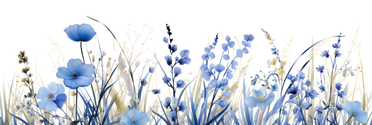 watercolor-blue-flowers-png.png