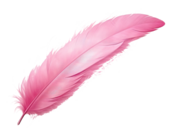 Pink feather isolated png