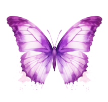 Watercolor butterfly isolated png