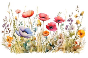 Aquarell Blumen- Rand png