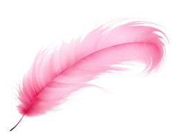 Pink feather isolated png