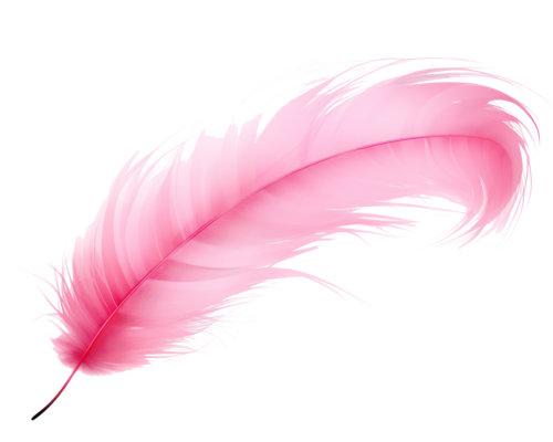 Pink Feather PNG Transparent Images Free Download