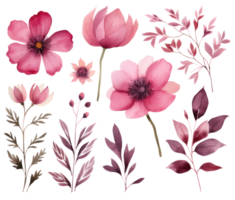 Rosa Aquarell Blumen isoliert png