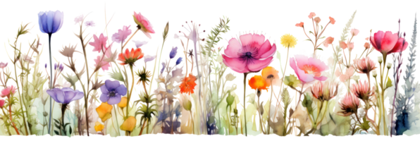 Aquarell Blumen- Rand png