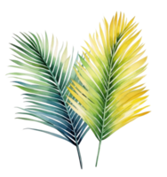 Green watercolor palm leaf isolated png