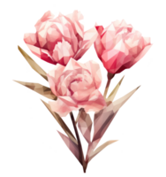 Watercolor flower bouquet isolated png