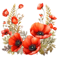 Aquarell Mohn Blumen Hintergrund png