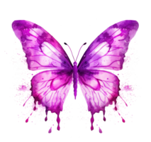 aquarelle papillon isolé png