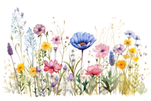 aquarelle floral frontière png