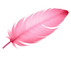 rose plume isolé png