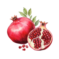 Ripe pomegranate isolated png