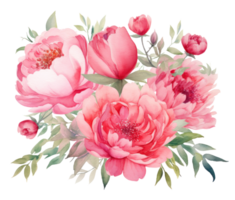 Watercolor peony flowers isolated png