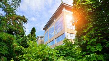 Eco building in modern city concept. Fresh green trees and office building, business concept. photo
