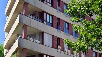 Eco architecture. Green tree and apartment building. The harmony of nature and modernity. photo