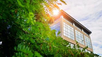 Eco building in modern city concept. Fresh green trees and office building, business concept. photo