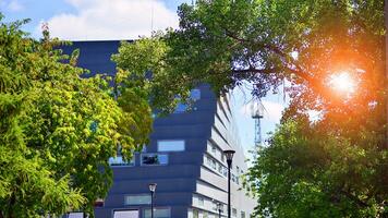 Eco architecture. Details of facade glass and aluminum panels on  building. Green tree and modern office building. The harmony of nature and modernity. photo