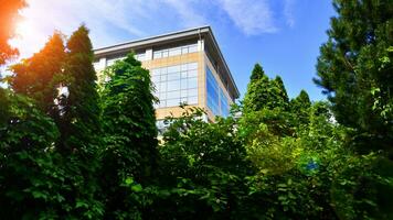 Eco building in modern city concept. Fresh green trees and office building, business concept. photo