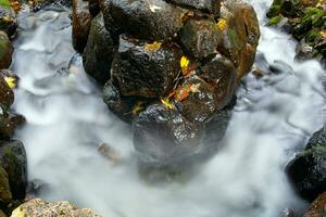 Water and stone. photo