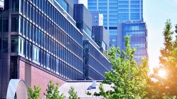 Eco architecture. Details of facade glass and aluminum panels on  building. Green tree and modern office building. The harmony of nature and modernity. photo