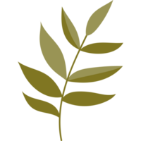 Plant branch with leaves png