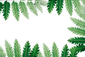 Leaf png download transparent background download