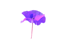 bloem PNG downloaden in hd