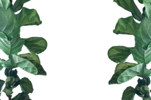 Leaf png download transparent background download