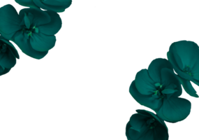 flower png download in hd