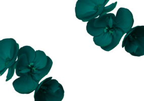 flower png download in hd