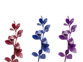 flower png download in hd